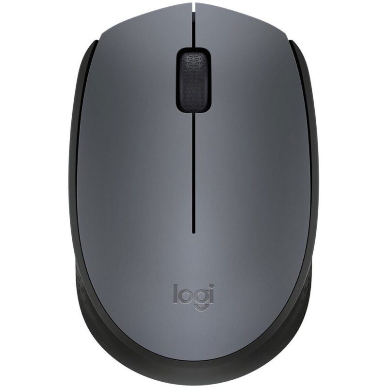 Logitech M170 Souris sans fil Gris (910-004642)