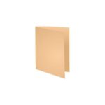 CHEMISES BULLES - 60G - PAQUET DE 250